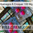 Kamagra À Croquer 100 Mg 14